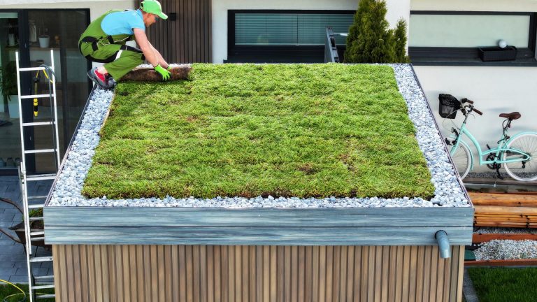 Grüne Dächer und Fassaden: Mehr als nur Gutaussehend